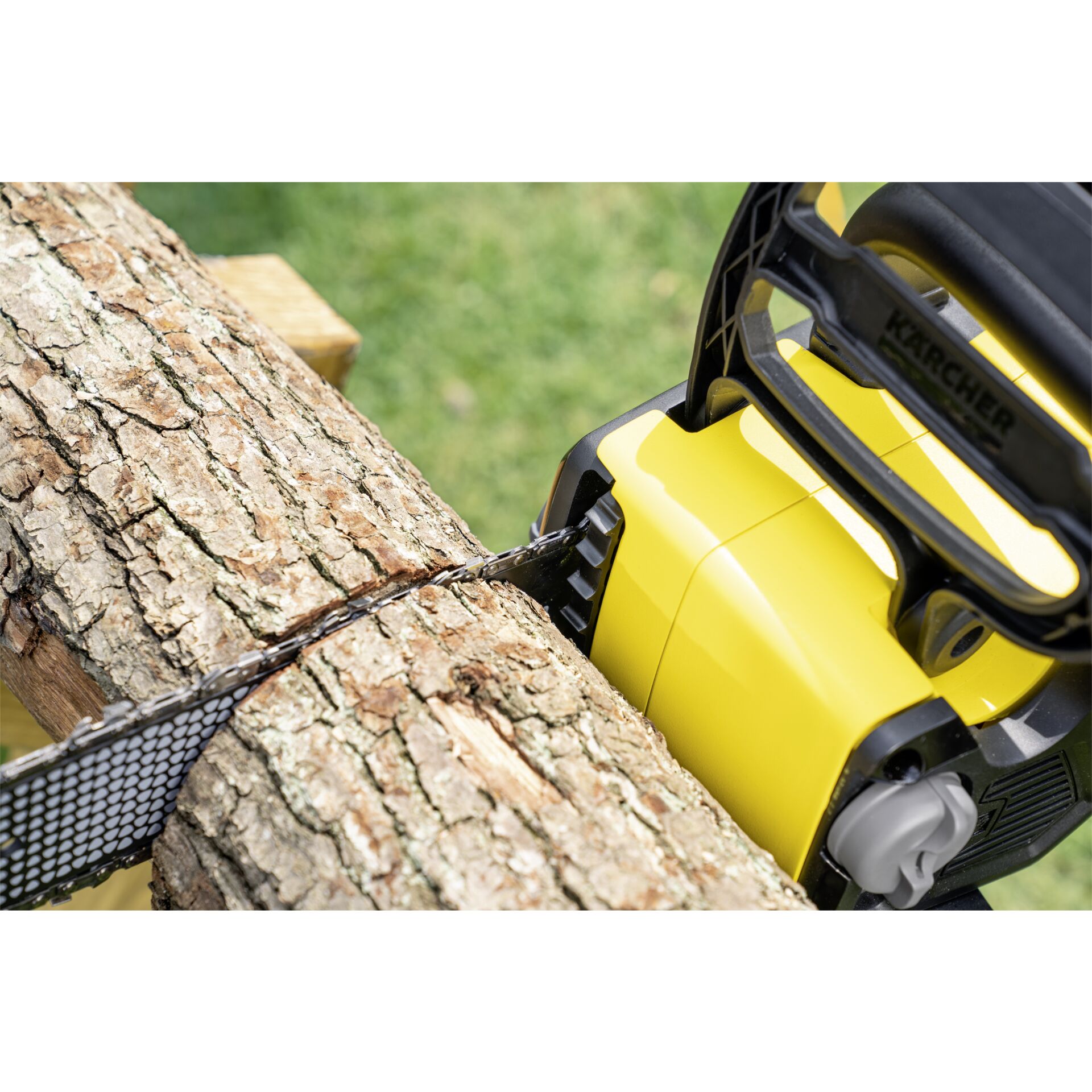 Gras, Pflanze, Zubehör, Riemen, Rasenmäher