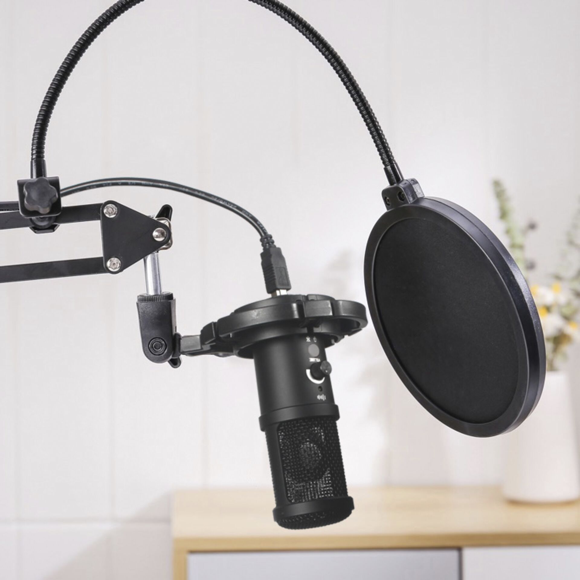 Elektrisches Gerät, Mikrophon