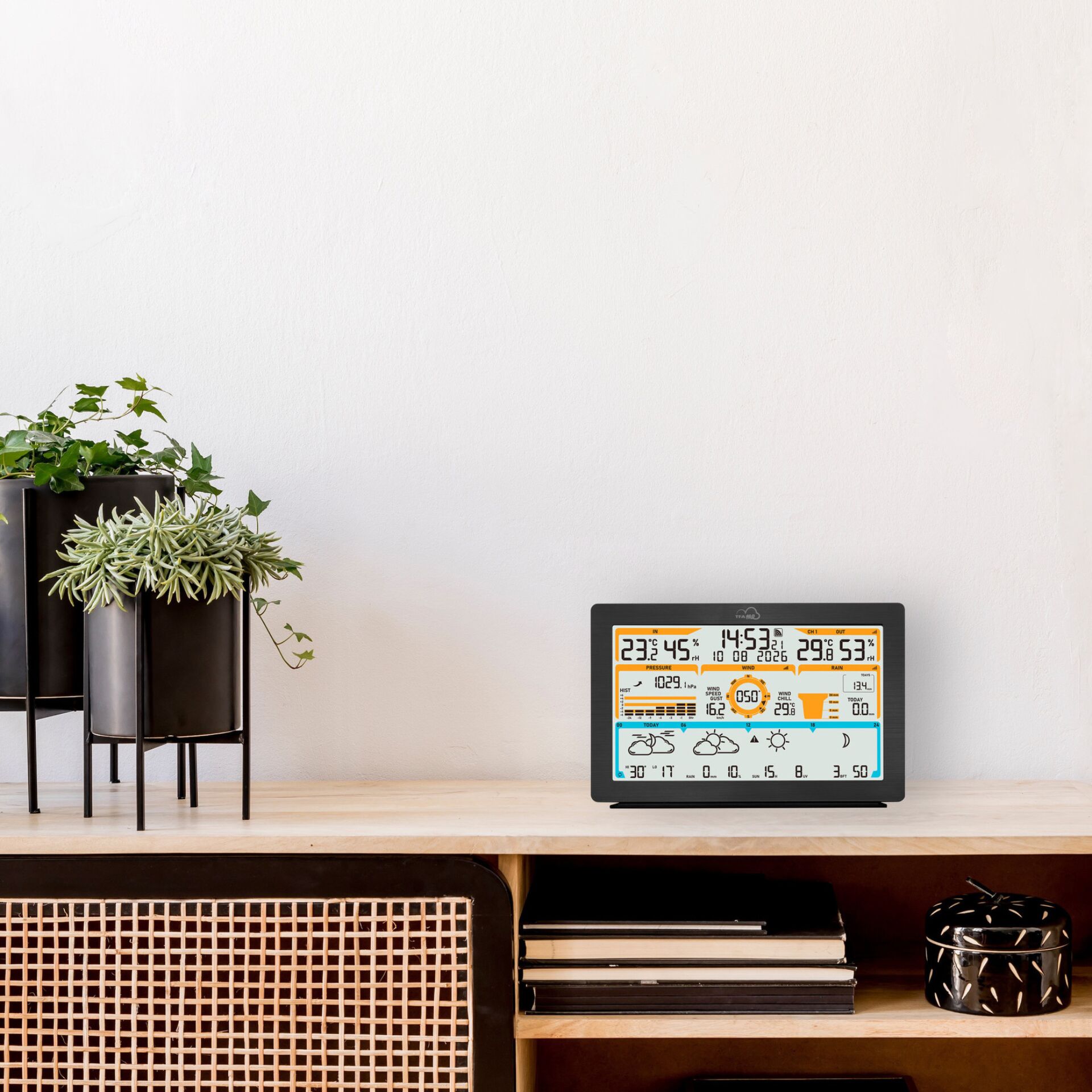 Pflanze, Pflanze im Topf, Innenarchitektur, Überwachen, Bildschirm