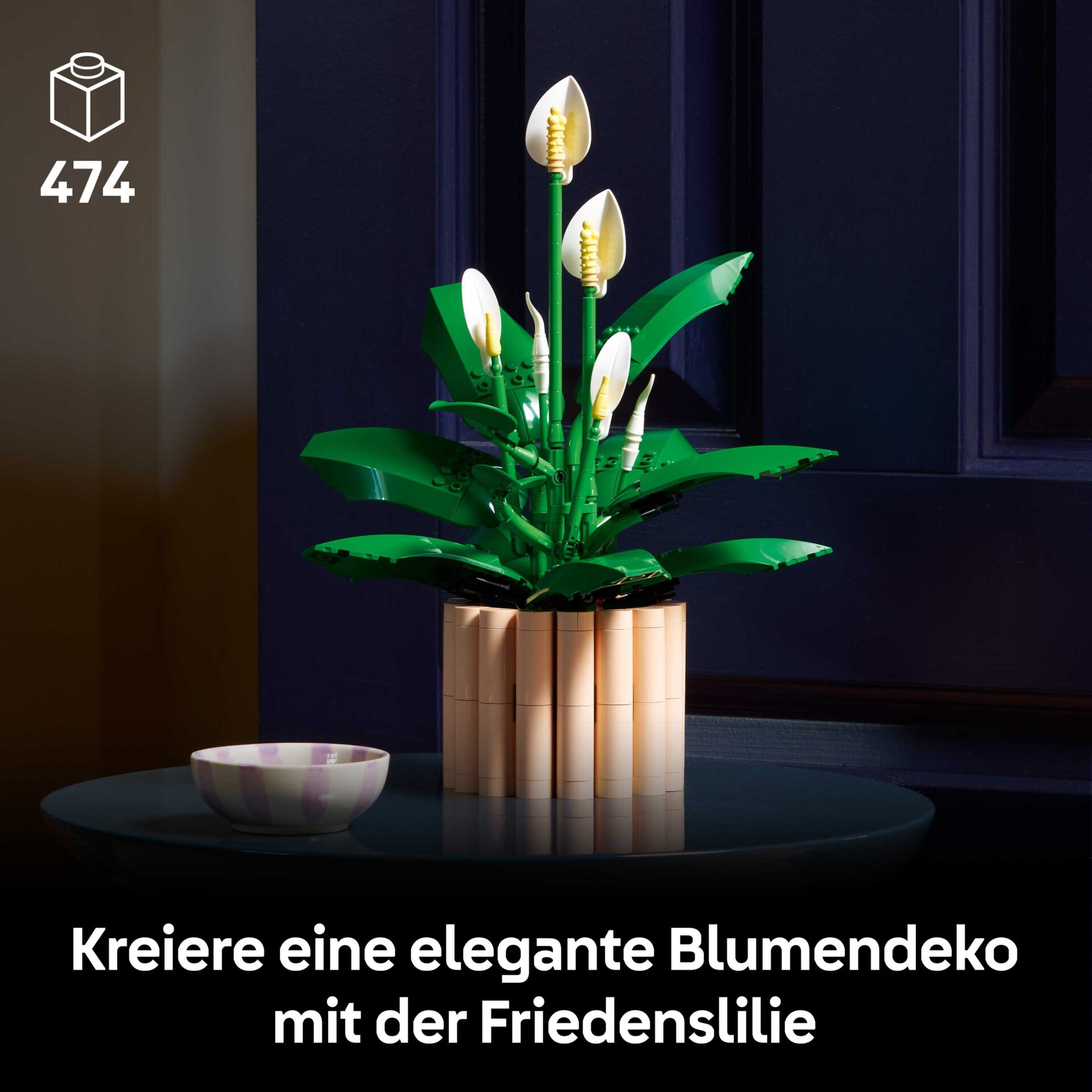 Blume, Blumen-Arrangement, Pflanze, Ikebana, Topfpflanze