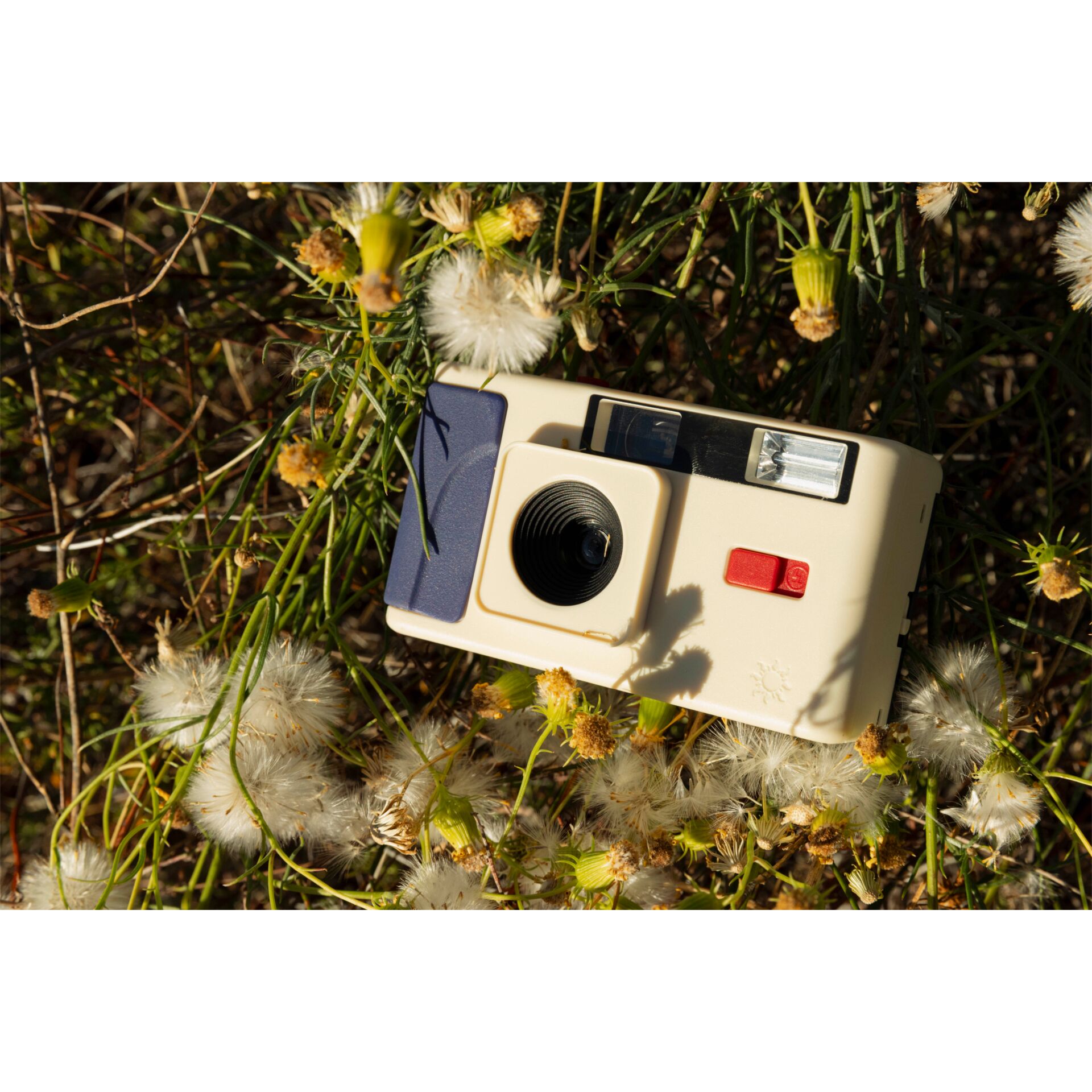 Polaroid, Kamera, Analogkamera, Schnappschuss, Rot-blau