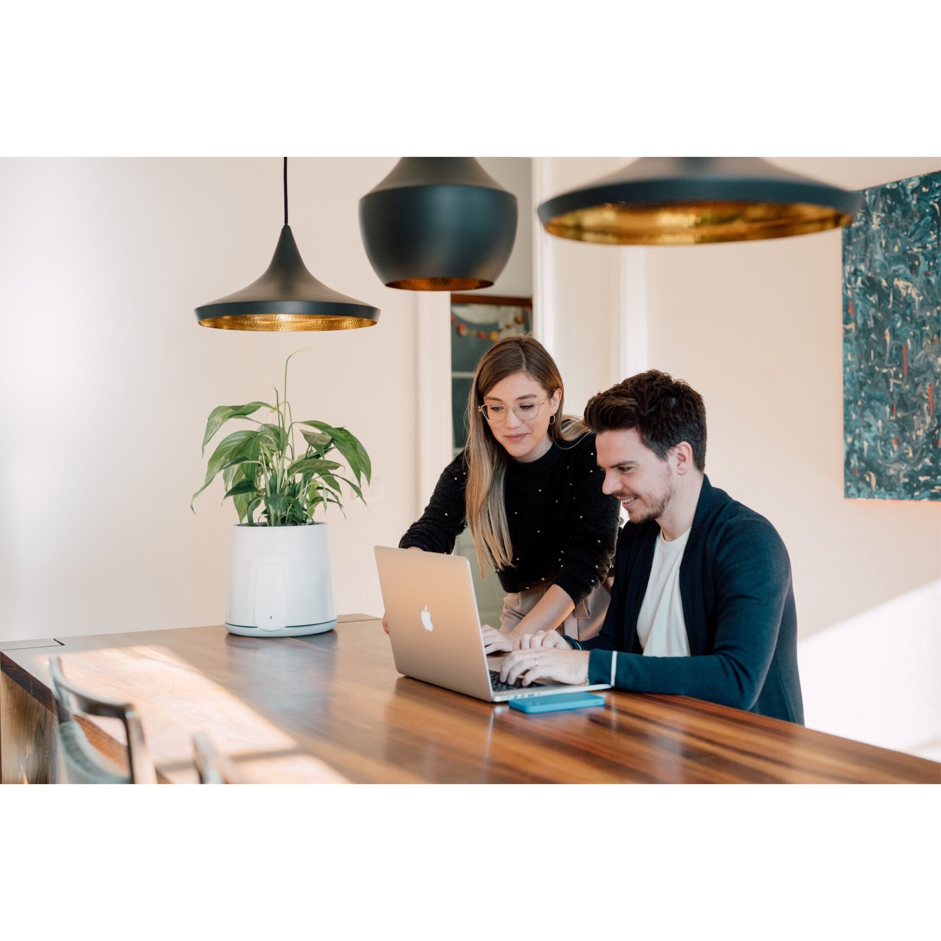 Laptop, Erwachsener, Weiblich, Person, Frau