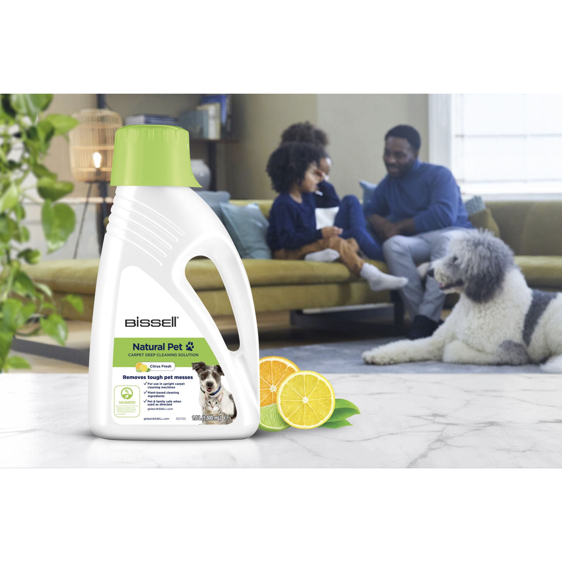 Topfpflanze, Flasche, Erwachsener, Mann, Person