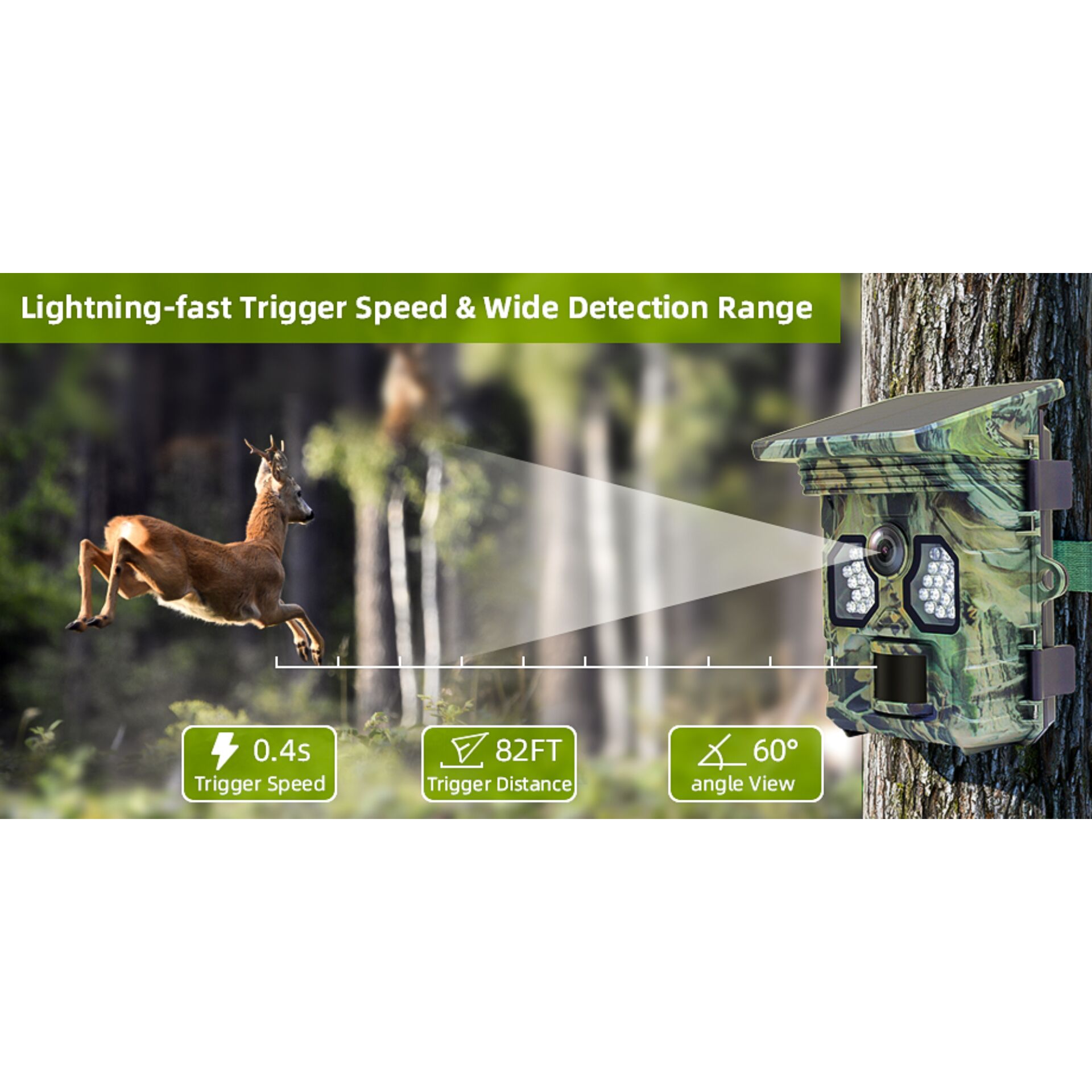 Tier, Hirsch, Säugetier, Tierwelt, Antilope