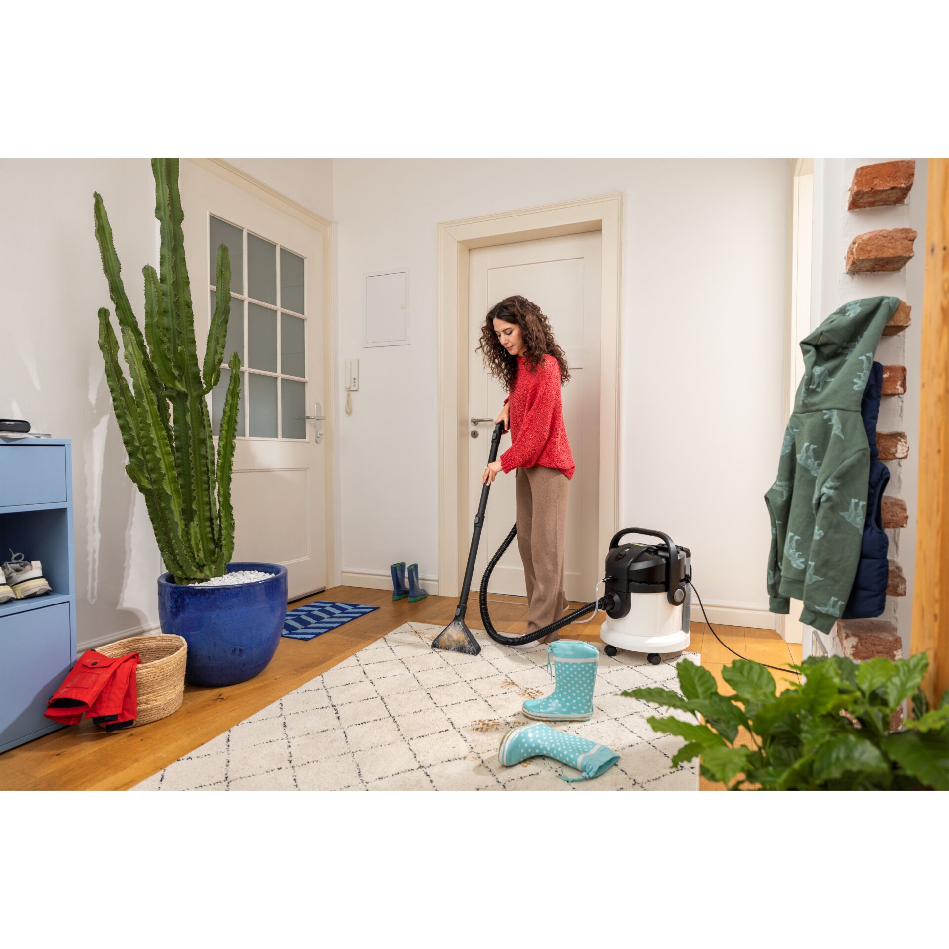 Drinnen, Innenarchitektur, Pflanze, Reinigen, Person