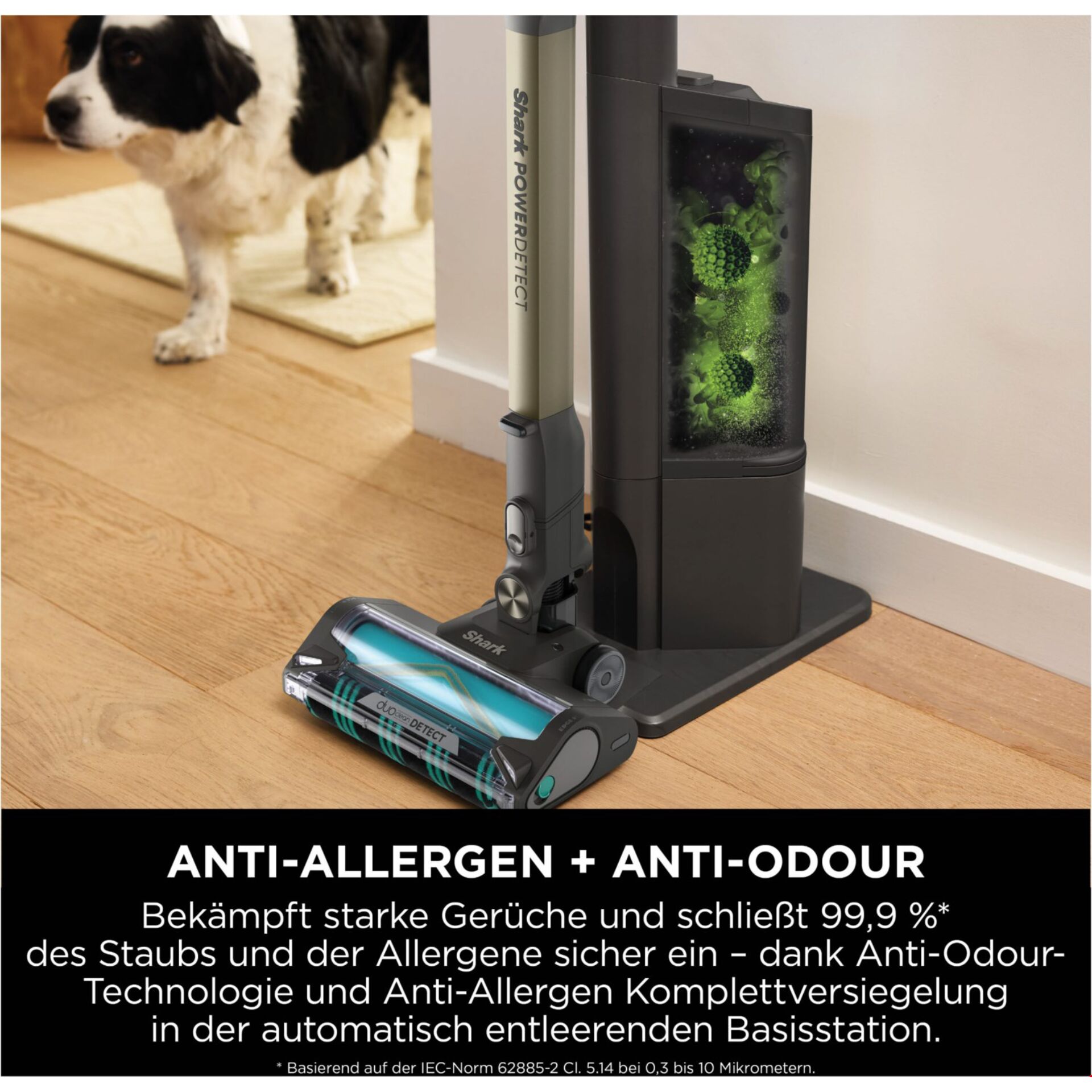 Tier, Hund, Säugetier, Haustier