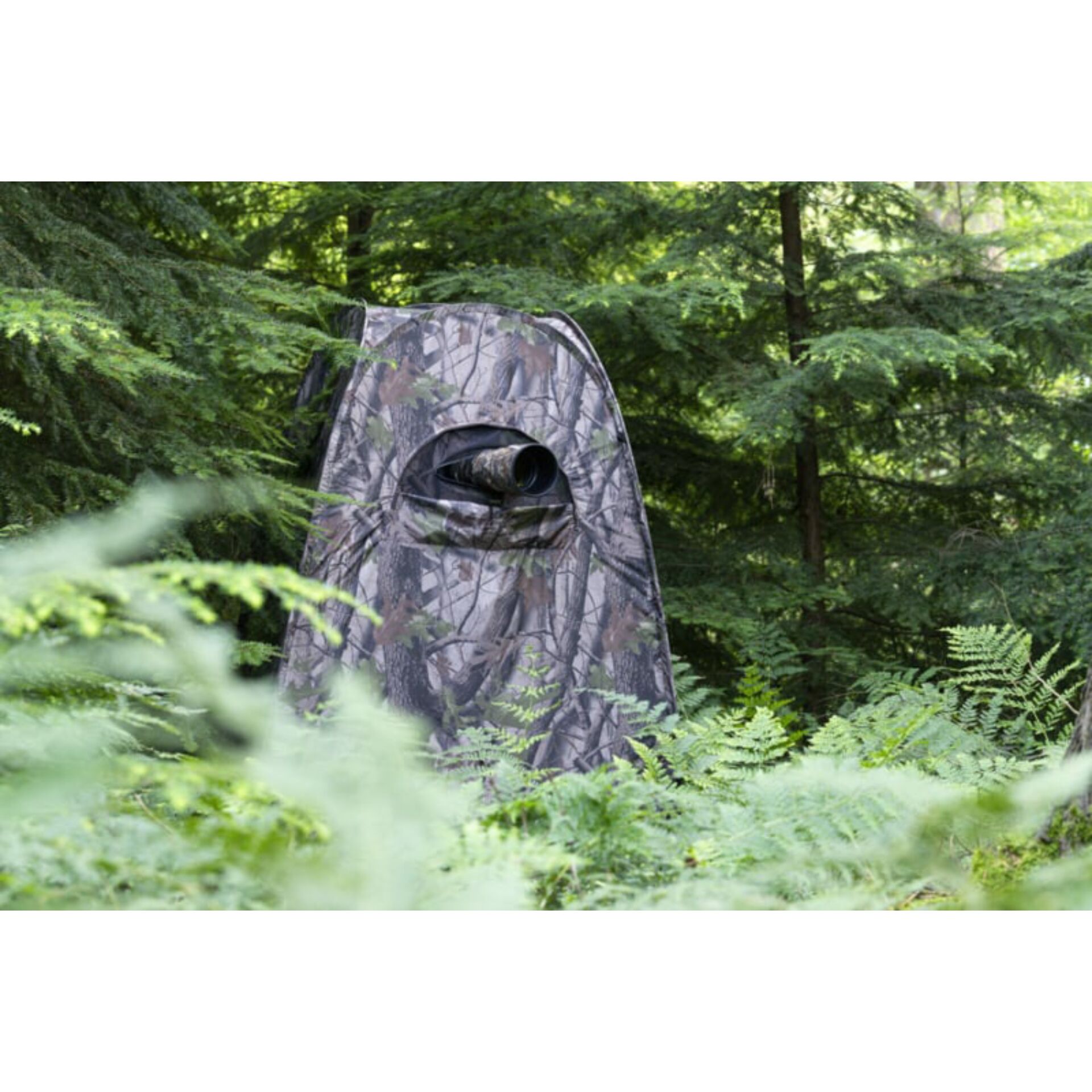 Pflanze, Vegetation, Kleidung, Mantel, Waldland